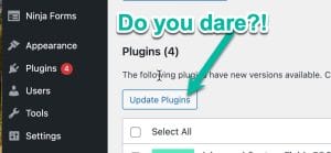 Screen capture showing WordPress's Plugin Update Alert | managed updates and web hosting for hacked wordpress websites