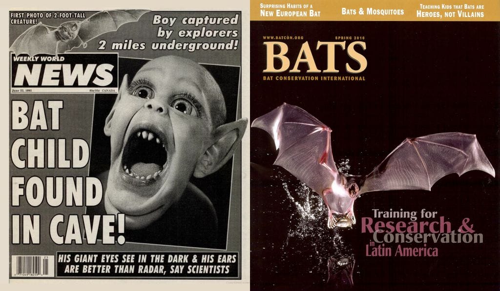 Fake news vs. real news. Batboy