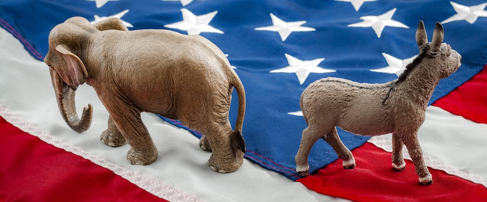 Donkey and Elephant on an american flag. Do the right and left agree on anything?